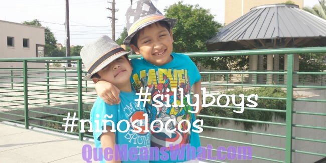 silly boys quemeanswhat