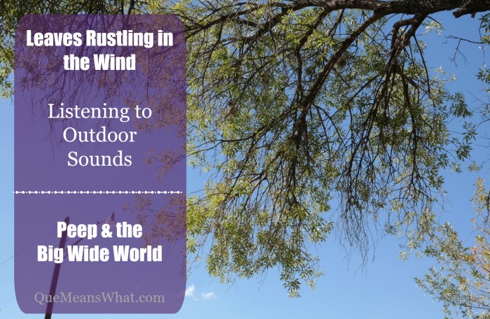 Leaves Rustling in the Wind  Listening to  Outdoor Sounds   Peep & the  Big Wide World  QueMeansWhat.com