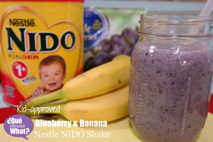 Blueberry Banana Nestle NIDO Shake Recipe on QueMeansWhat.com