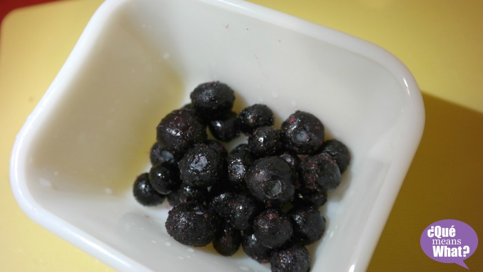 Frozen Blueberries for Nestle NIDO shake QueMeansWhat.com