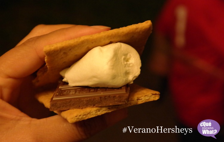 Outdoor S'mores on Summer Nights #VeranoHersheys @QueMeansWhat