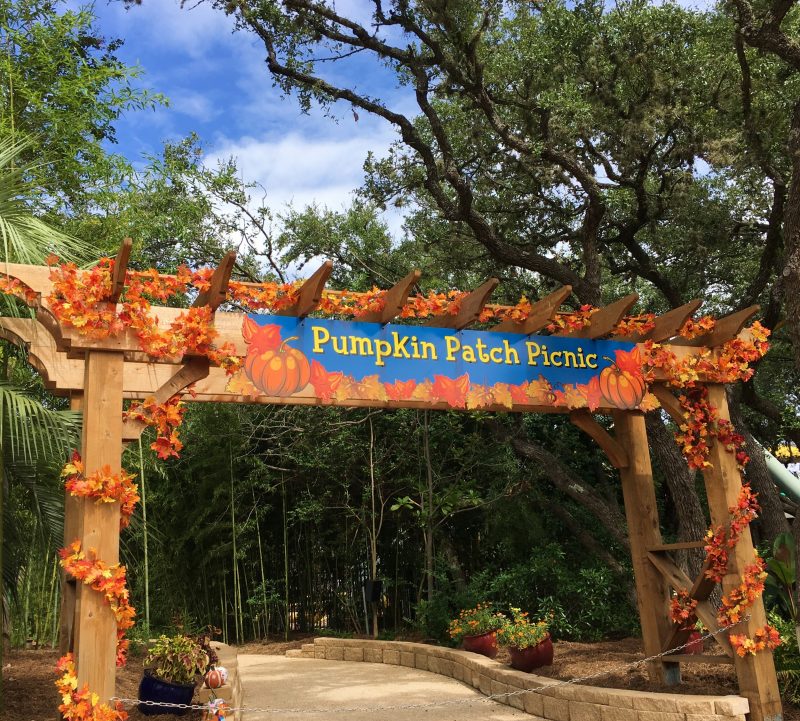 Pumpkin Patch Picnic Sea World San Antonio - QueMeansWhat.com
