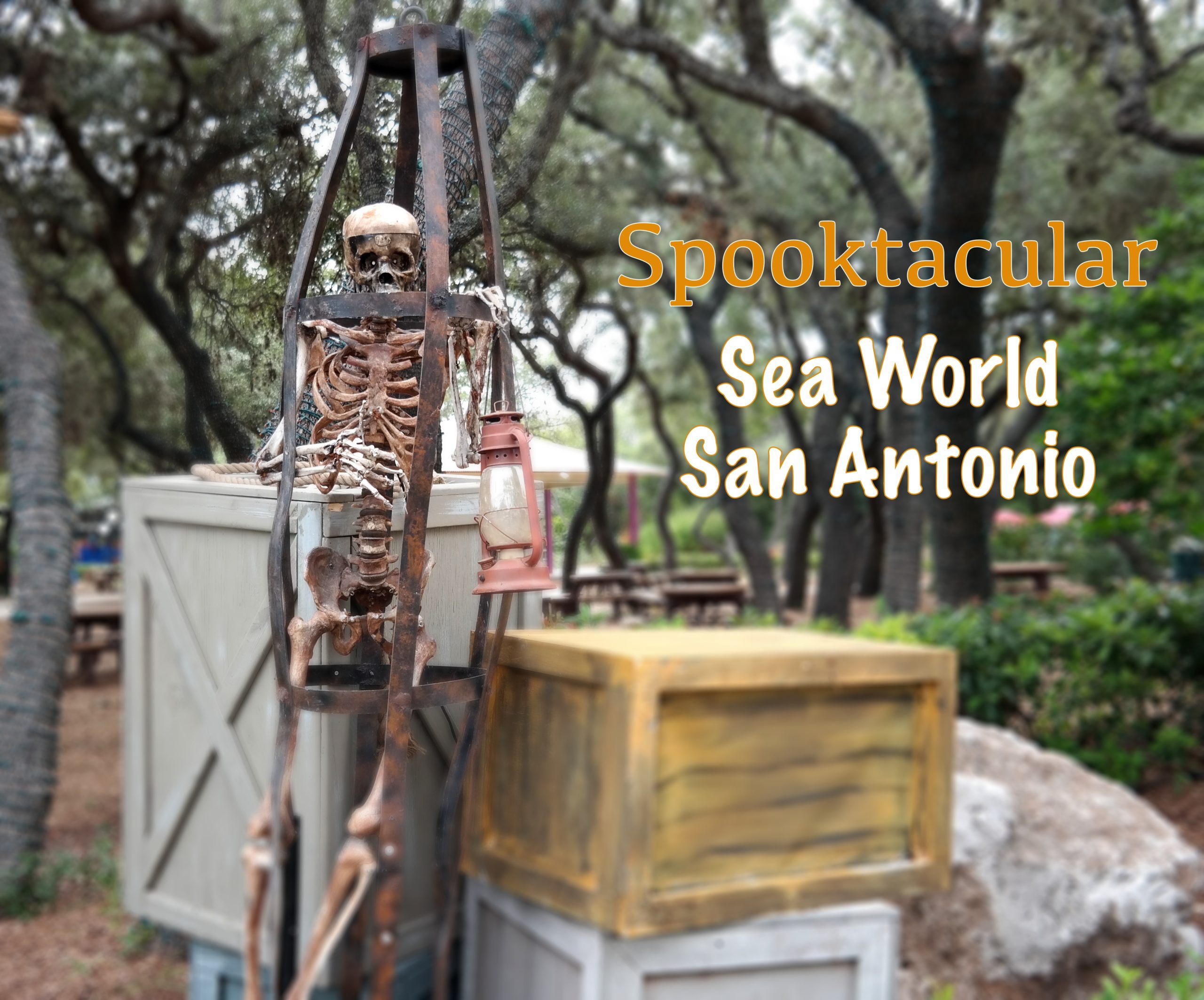Spooktacular-Sea-World-San-Antonio-Que-Means-What