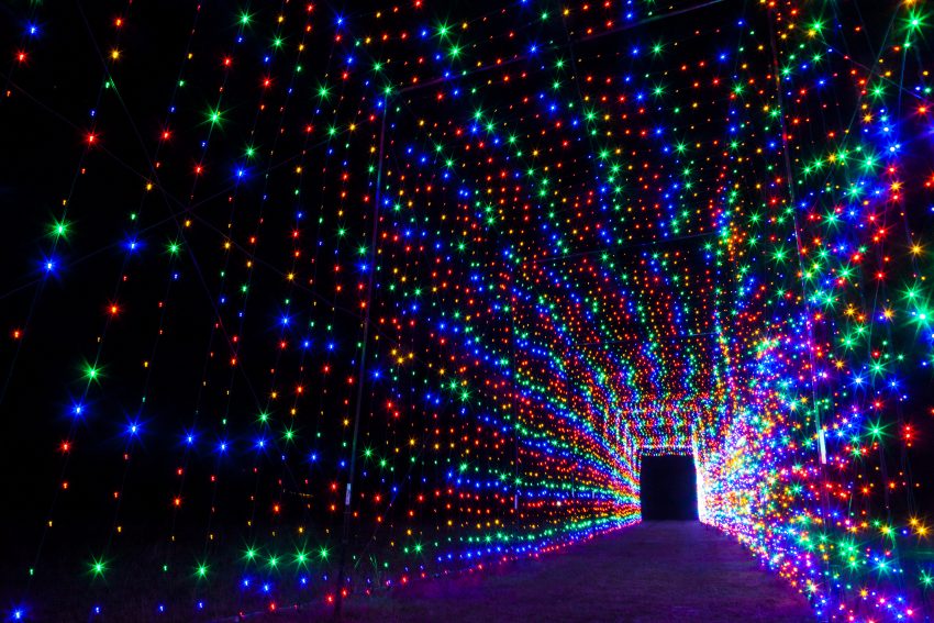 Tunnel of Lights at Christmas Light Fest - QueMeansWhat.com