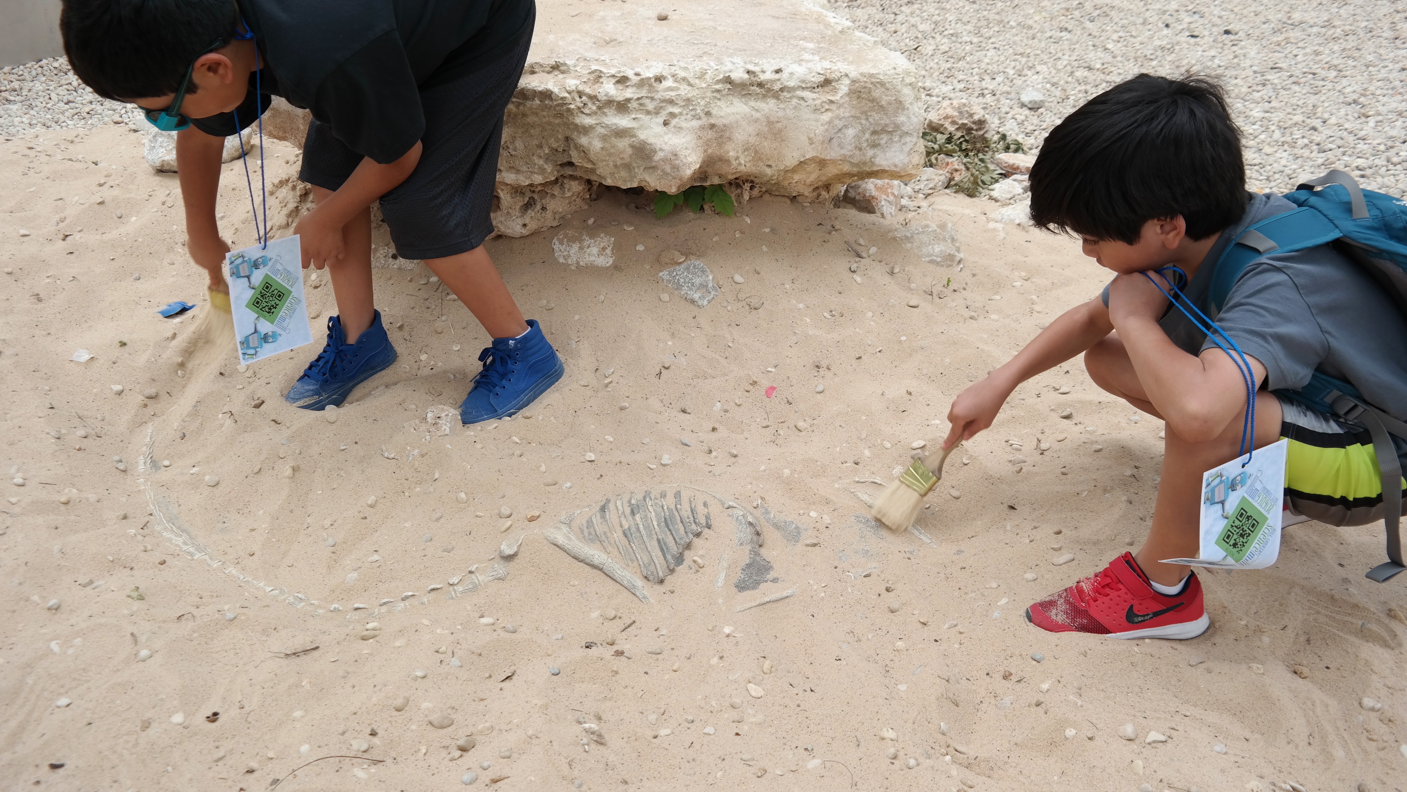 Fossil Dig at the Science Mill - QueMeansWhat.com