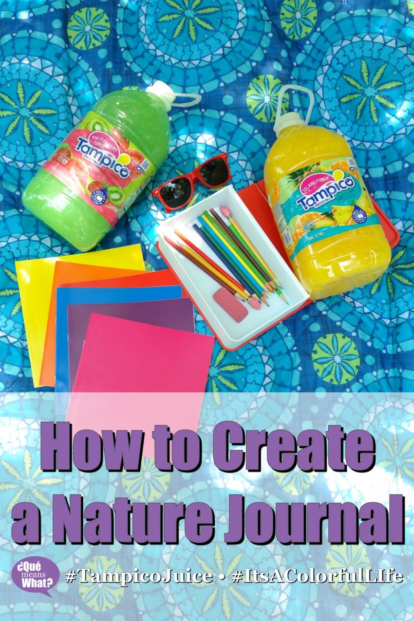 How to Create a Nature Journal - quemeanswhat.com